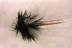 K52 - Ken's Rasta Fly - $5